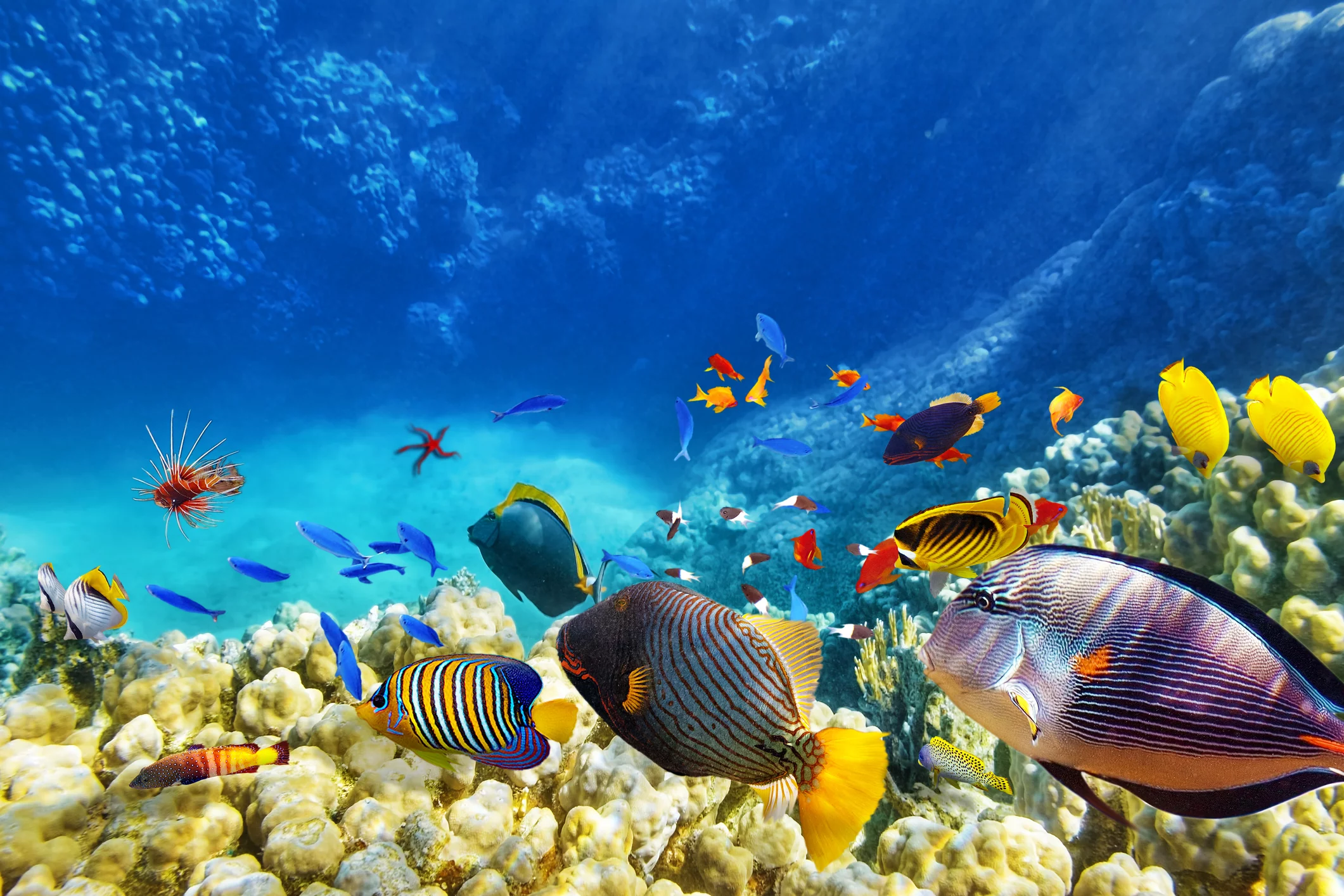 Amundi lancia un fondo tematico dedicato all’economia degli oceani