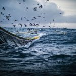 Blue economy: una scelta di successo per ambiente, aziende e investitori