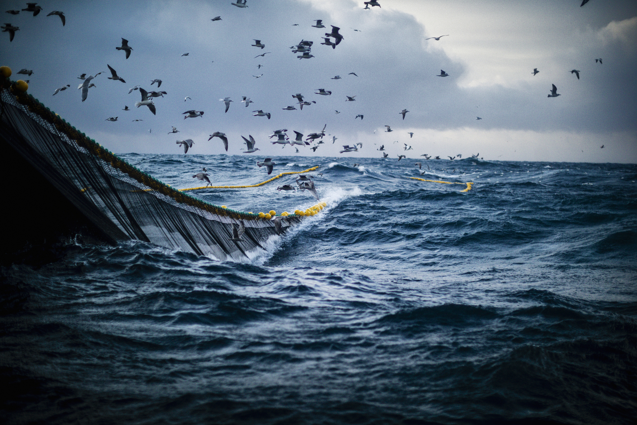 financialounge -  blue economy Columbia Threadneedle Investments daily news ESG jamie jenkins