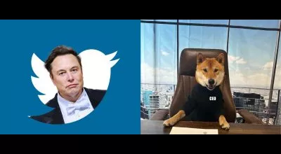 financialounge - Dogecoin Elon Musk smart twitter