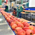 La domanda alimentare globale sta cambiando e offre nuove occasioni di investimento