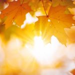 Corporate bond: ecco perché i titoli bancari continueranno a brillare