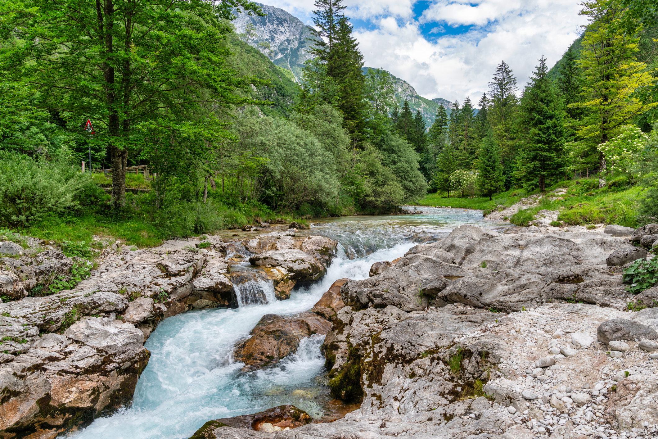 financialounge -  Biodiversità ESG Etica Sgr good