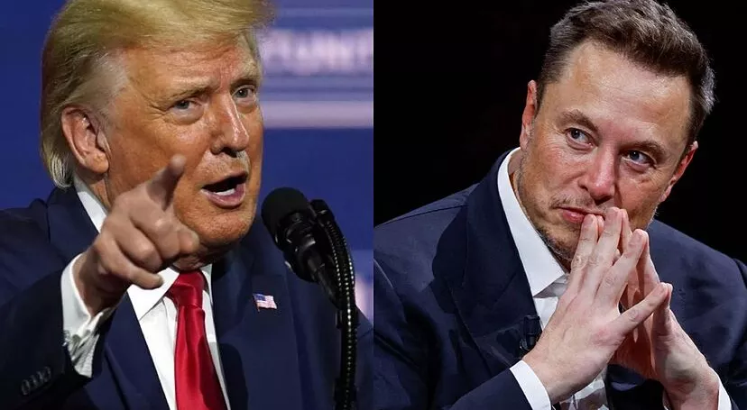 financialounge - borse dazi Donald Trump Elon Musk Tesla