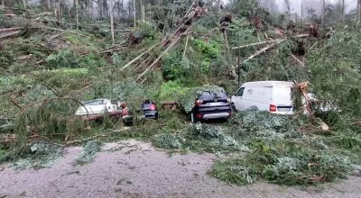 financialounge -  economia mutui