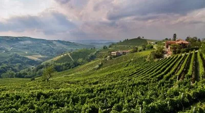 financialounge - economia vini