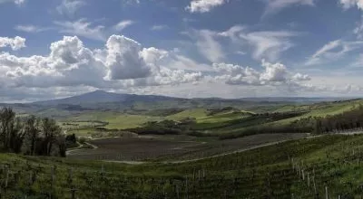 financialounge -  privateconomy Tenuta di Trinorio vino