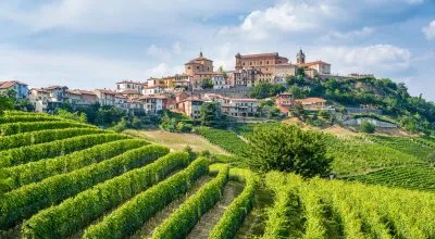 financialounge -  barolo economia enogastronomia privateconomy vigneti vini Viticoltori