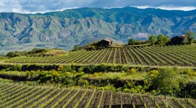 financialounge -  cantine ermes economia Equita minibond privateconomy vini