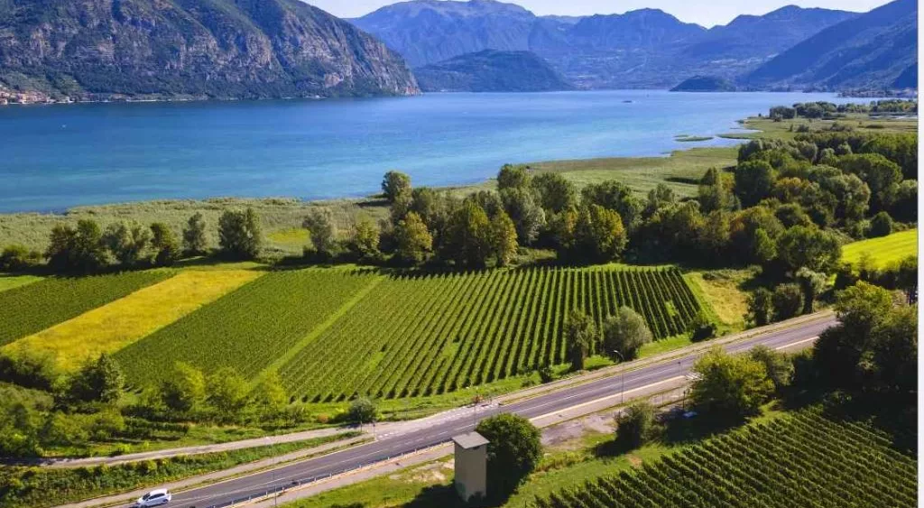 financialounge - Barone Pizzini Consorzio Franciacorta Franciacorta Silvano Brescianini vini frizzanti