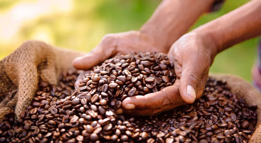 financialounge -  caffè economia Etica Sgr materie prime