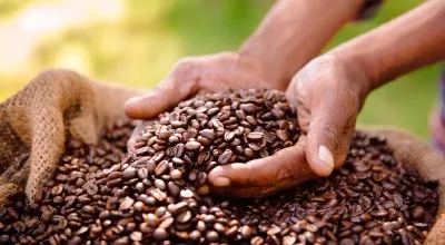 financialounge -  caffè economia Etica Sgr materie prime