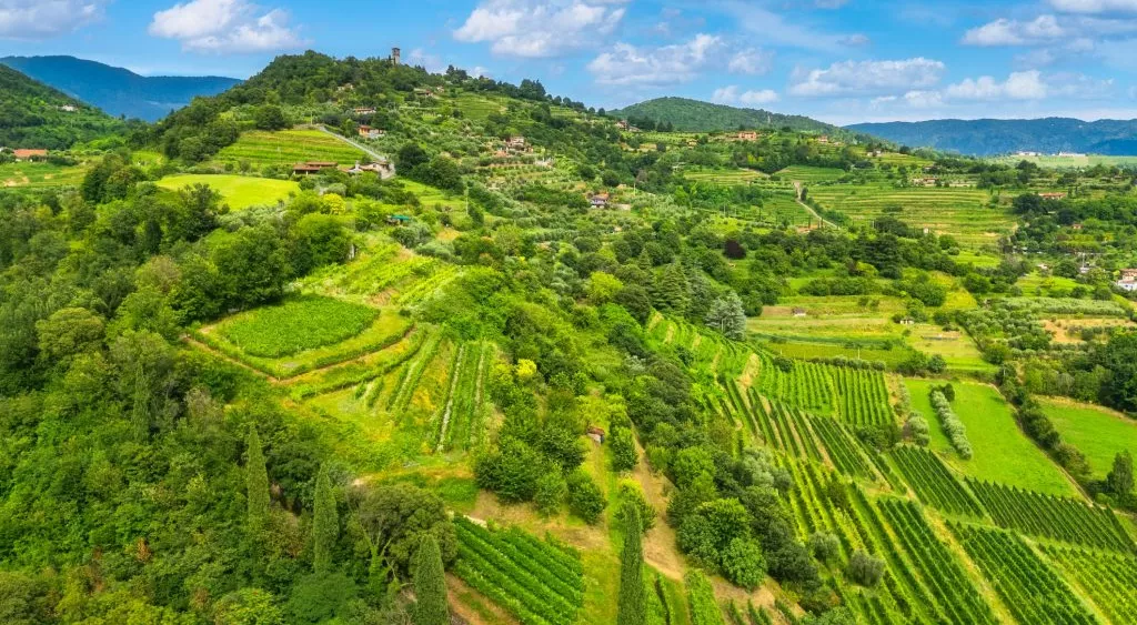 financialounge -  economia Made In Italy real economy vino