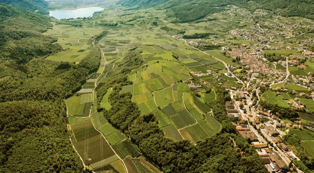 financialounge -  economia real economy vino