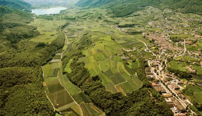 financialounge -  economia real economy vino