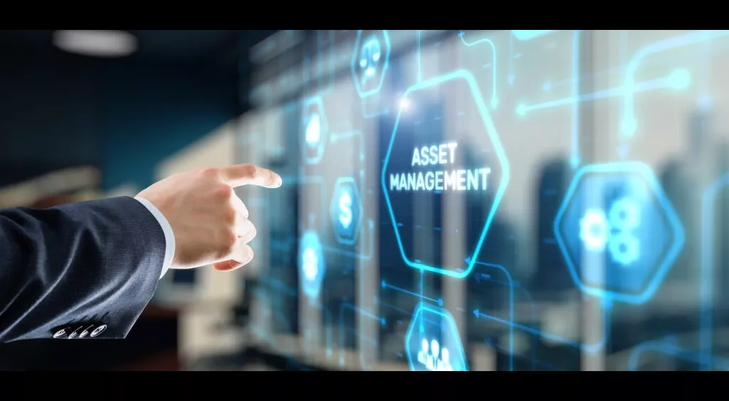 financialounge -  Asset management Loomis Sayles Natixis